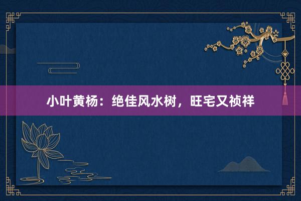 小叶黄杨:绝佳风水树,旺宅又祯祥