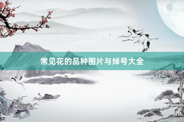 常见花的品种图片与绰号大全