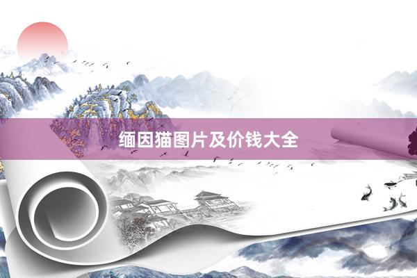 缅因猫图片及价钱大全