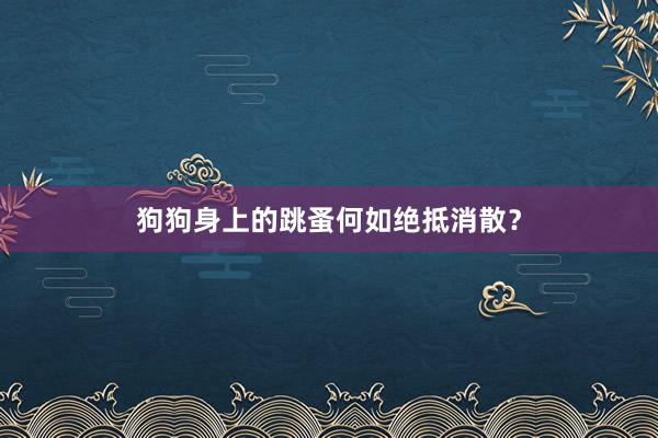 狗狗身上的跳蚤何如绝抵消散？