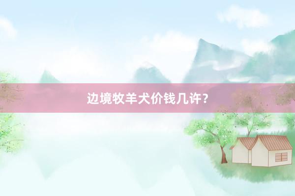 边境牧羊犬价钱几许？